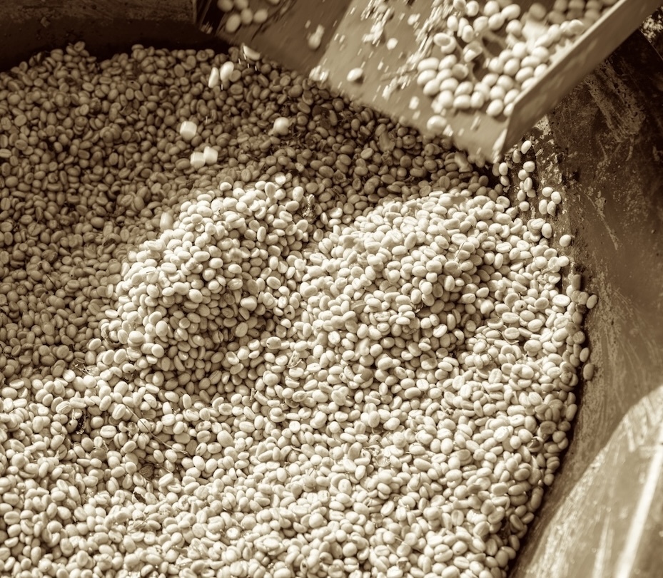 farmer-using-a-coffee-cherry-pulping-machine-to-pr-2025-03-16-00-56-06-utc-1